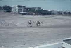 انقر للحصول على حجم اكبر