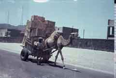 انقر للحصول على حجم اكبر