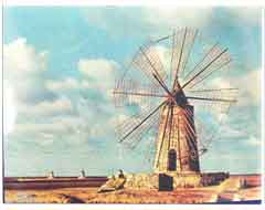 ���� ������ ��� ��� ����