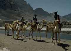 ���� ������ ��� ��� ����