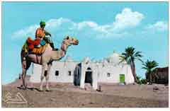 ���� ������ ��� ��� ����