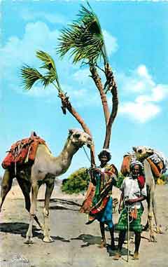 ���� ������ ��� ��� ����