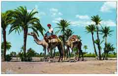 ���� ������ ��� ��� ����