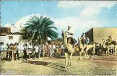 ���� ������ ��� ��� ����