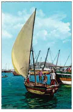 ���� ������ ��� ��� ����