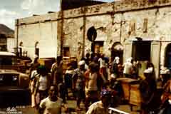 ���� ������ ��� ��� ����