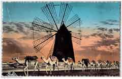 ���� ������ ��� ��� ����