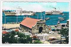 ���� ������ ��� ��� ����