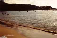 ���� ������ ��� ��� ����