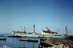 ���� ������ ��� ��� ����