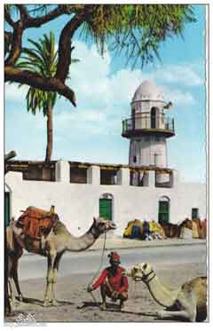 ���� ������ ��� ��� ����