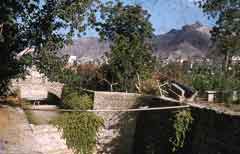 ���� ������ ��� ��� ����