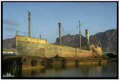 ���� ������ ��� ��� ����