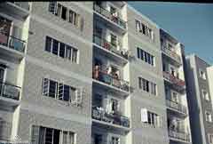 ���� ������ ��� ��� ����