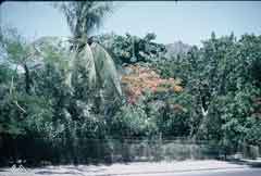 ���� ������ ��� ��� ����