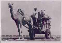 ���� ������ ��� ��� ����