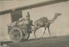 ���� ������ ��� ��� ����