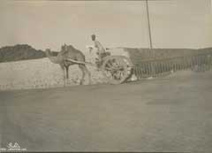 ���� ������ ��� ��� ����