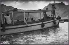 ���� ������ ��� ��� ����