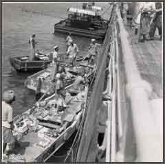 ���� ������ ��� ��� ����