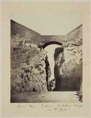 ���� ������ ��� ��� ����