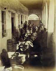 ���� ������ ��� ��� ����