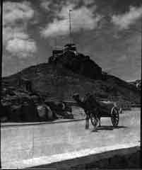 ���� ��� ������ ������ ��� ��� ����