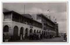 ���� ������ ��� ��� ����