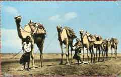 ���� ������ ��� ��� ����