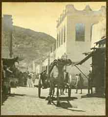 ���� ������ ��� ��� ����