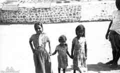 ���� ������ ��� ��� ����