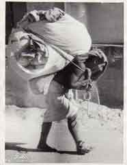 ���� ������ ��� ��� ����