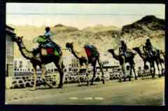 ���� ������ ��� ��� ����