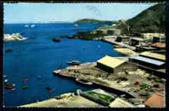 ���� ������ ��� ��� ����