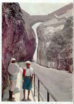 ���� ������ ��� ��� ����