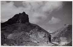 ���� ������ ��� ��� ����