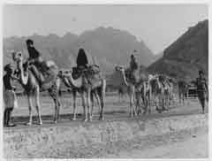 ���� ������ ��� ��� ����