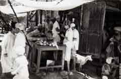 ���� ������ ��� ��� ����