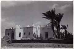 ���� ������ ��� ��� ����