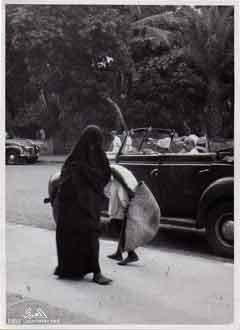 ���� ������ ��� ��� ����