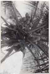 ���� ������ ��� ��� ����