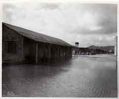 ���� ������ ��� ��� ����