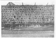 ���� ������ ��� ��� ����