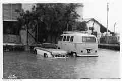 ���� ������ ��� ��� ����