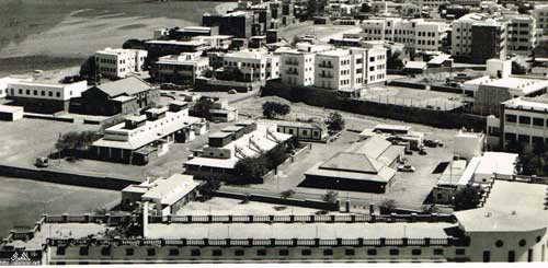 ���� ������ ��� ��� ����