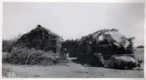 ���� ������ ��� ��� ����