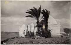 ���� ������ ��� ��� ����