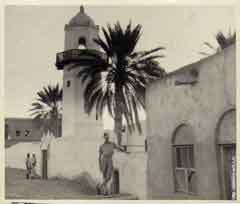 ���� ������ ��� ��� ����