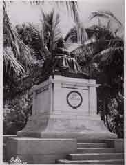 ���� ������ ��� ��� ����