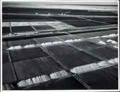 انقر للحصول على حجم اكبر